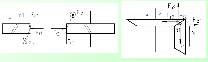斜齿圆柱齿轮和直齿锥齿轮传动各分力方向的标示方法